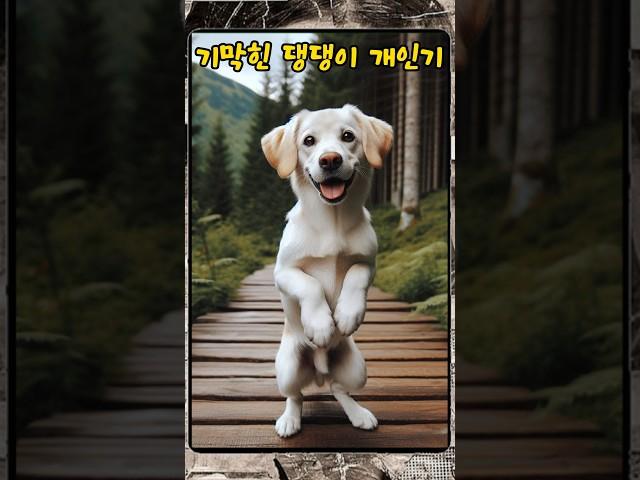 댕댕이 개인기 #shorts