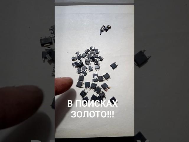 В ПОИСКАХ ЗОЛОТОГО СЛИТКА!!!