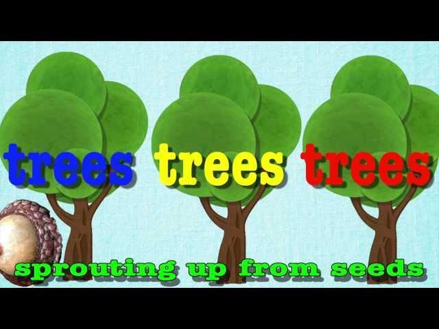 Head Shoulders Knees and Toes for Trees!