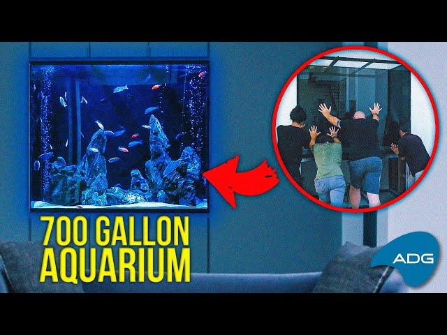 Full Installation: 700 Gallon Modern African Cichlid Aquarium