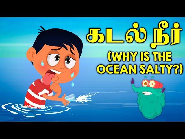 கடல் நீர் ஏன் உப்பாக இருக்கிறது | Why Is Ocean Water Salty | Kids Learning Video | Dr. Binocs Tamil