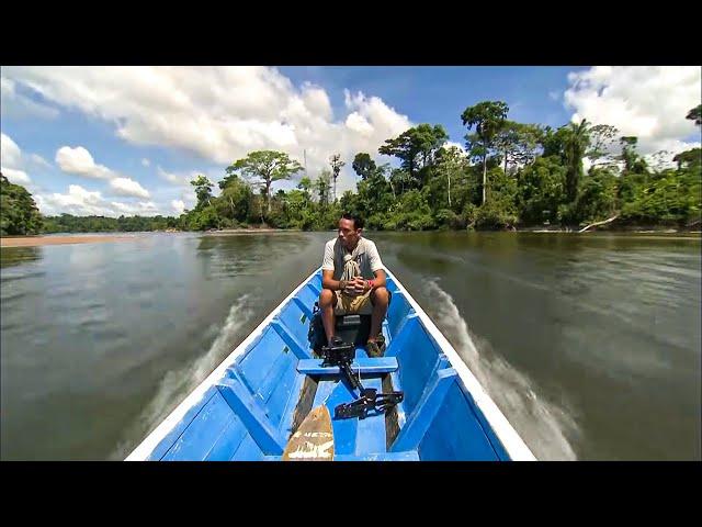 Suriname, in the Heart of Endless Forests