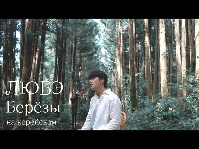 ЛЮБЭ - Берёзы на корейском Cover by Song wonsub(송원섭)