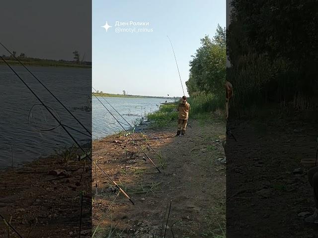 Опять рыбка обманула ))