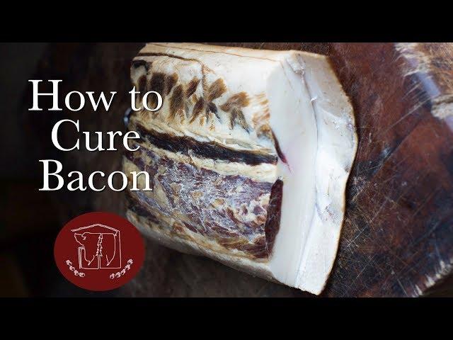 How to Cure Bacon