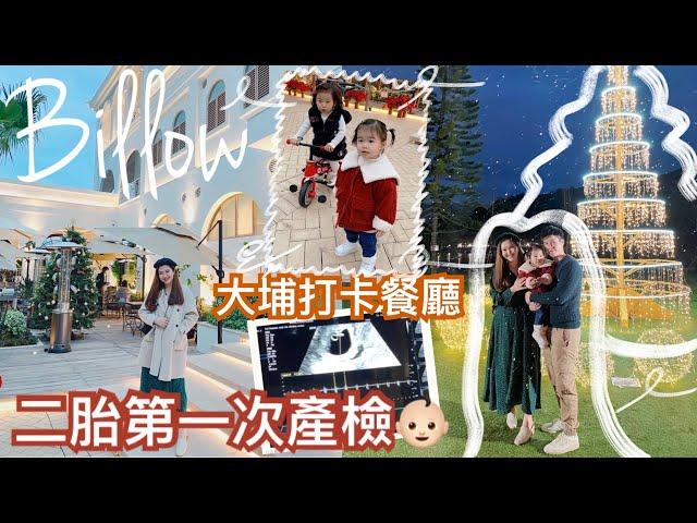 日常VLOG二胎第一次產檢漢堡包店推薦大埔小白鷺打卡餐廳Billow很多貓貓適合帶小孩去嗎？cheerS beauty【中字】