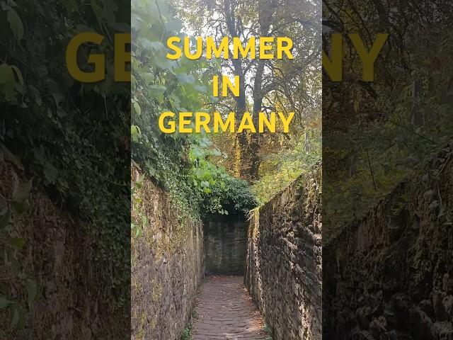 Summer in Germany 