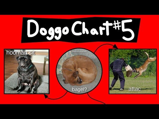 Doggo Chart - Part 5