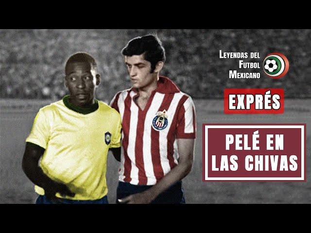 El día que PELÉ estuvo a punto de jugar con las CHIVAS (1975) | EXPRÉS