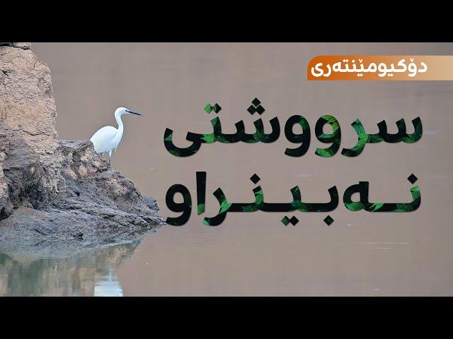 Documentary | Siruşta Nedîtî | سرووشتی نەبینراو | Kurdistan's Hidden Nature (English Subtitles)