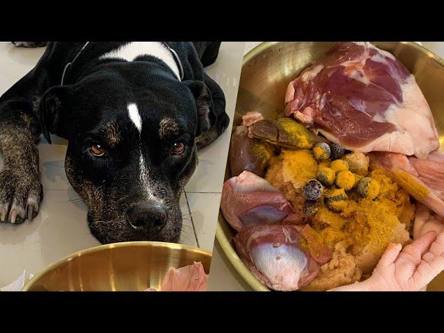 Oli The Pit Bull eatsRAW FOOD หมากินดิบ [ASMR]MUKBANG[咀嚼音] อาหารหมาที่แท้จริง EP.072 of 2024