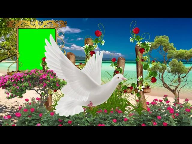 3d wedding effect  |  edius 3d effect  |  croma video |