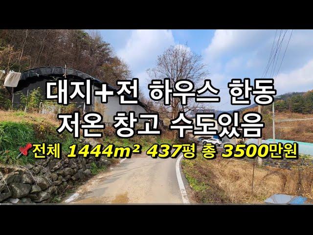 196번대지+전 하우스 한동 총 3500만원 #의성싼땅 #의성군땅 #의성땅 #의성땅매매 #의성땅매물 #의성부동산 #의성주말농장지 #의성주말농장 #의성토지 #의성토지매매