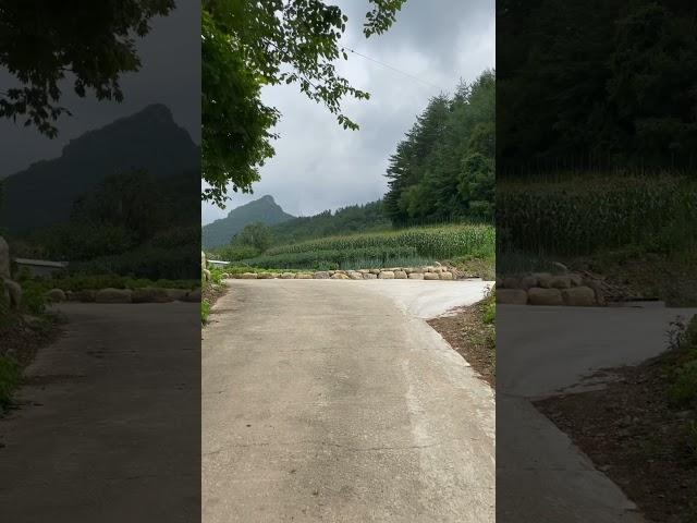 한국의 시골마을｜The contryside of Korea #Shorts