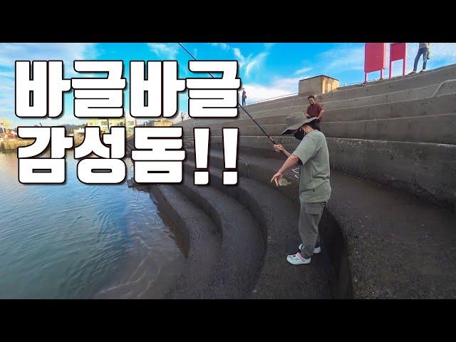 [다리tv] 여기서 감성돔이?! 최고의 발판!!! 서해권 민장대 낚시!!!