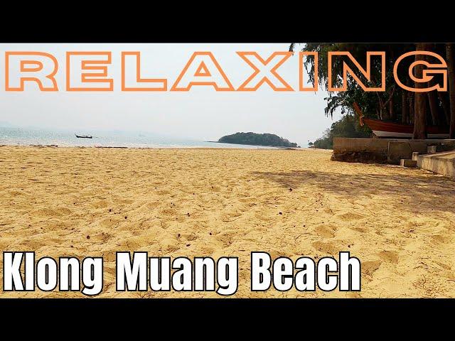 How is Klong Muang Beach, now? - lots of Jellyfish, no Tourists - Krabi Thailand