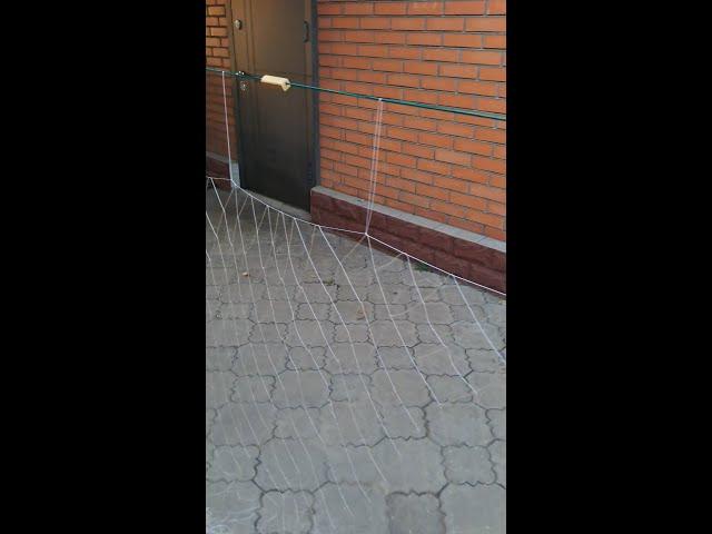 Сеть рыболовная "ЛЕТУЧКА", тонкости посадки.