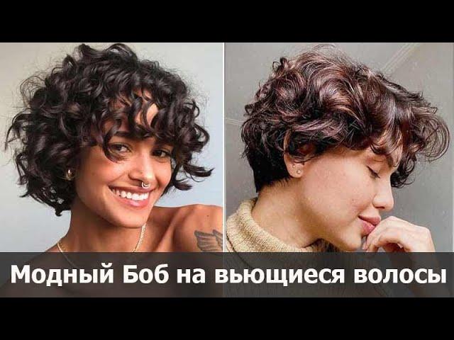 Curly Bob Hairstyle