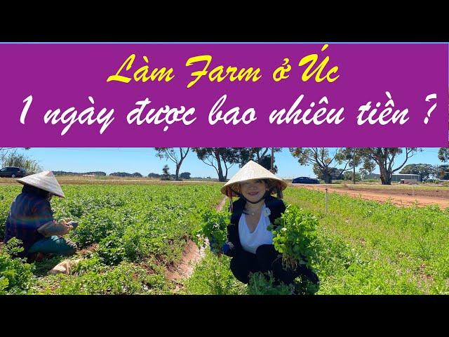 Cuộc sống Úc : Nghề làm FARM ở Úc thực sự sướng hay khổ ???