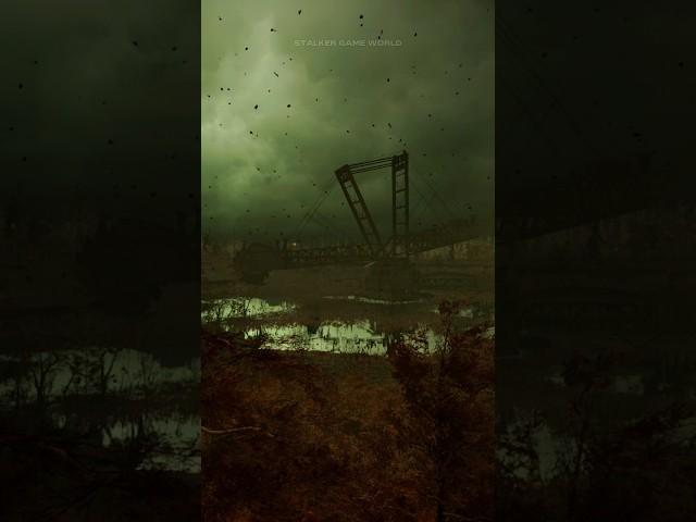 Red Forest. S.T.A.L.K.E.R. 2 Heart of Chornobyl #stalker2