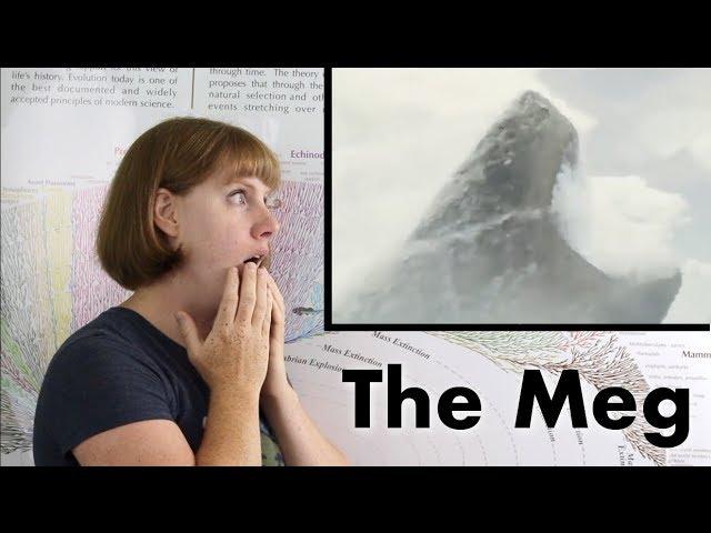 The Meg: Is Megalodon Really Extinct?