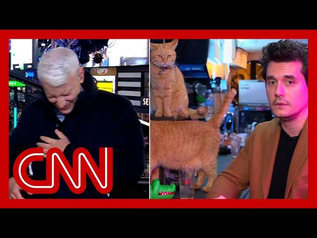 Anderson Cooper completely loses it as John Mayer dials in from a cat bar