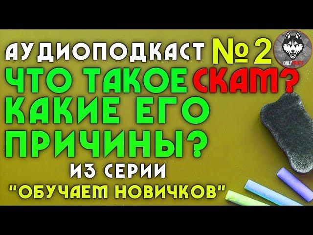 Аудиоподкаст №2 | Что такое скам? Какие его причины? | Из серии "Обучаем новичков" | #OnlyProfit