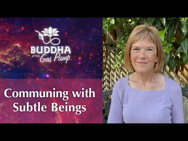 Subtle Beings and Their Role in Creation | Tanis Helliwell | Buddha at the Gas Pump Interview