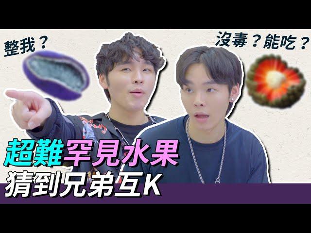 SUPER RARE FRUITS, the one who get the correct answer can hit the another one | TGOP K.R Bros