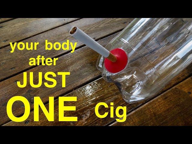 How Smoking Just 1 CIGARETTE Affects Your Lungs ●  You Must See This !