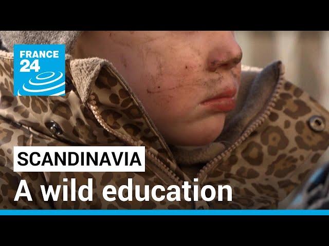 Scandinavia: 'Forest Kindergartens’, a wild education • FRANCE 24 English