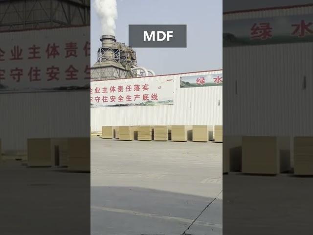 Pintree Group MDF Factory