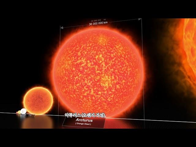 우주의 크기 비교  잠 안올때