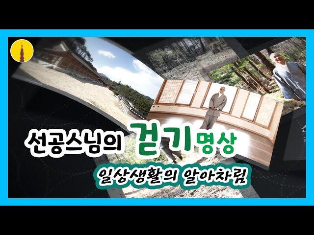 #치유 #힐링 선공스님의 걷기 명상(일상생활의 알아차림)