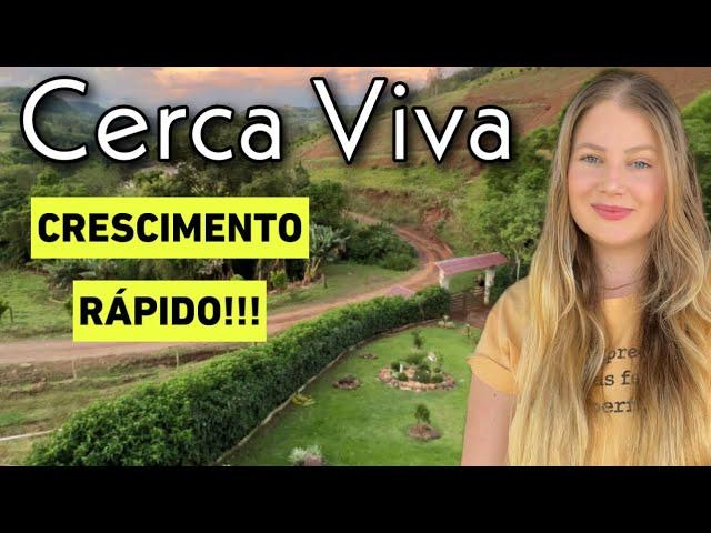 JARDIM COM CERCA VIVA DE CRESCIMENTO RÁPIDO | DICAS + ANTES e DEPOIS|