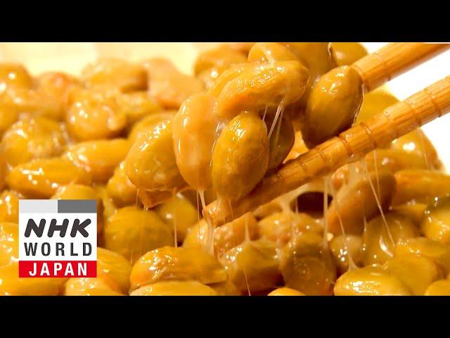 FANTASTIC FERMENTATION!: Natto Variety - Dig More Japan