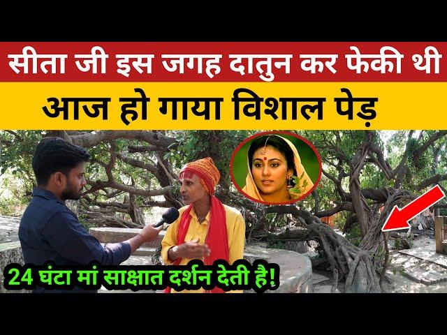 Sita जी इस जगह पर दातुन कर के फेकी थी आज हो गाया विशाल पौधा! Sita Mata Doli asthal video