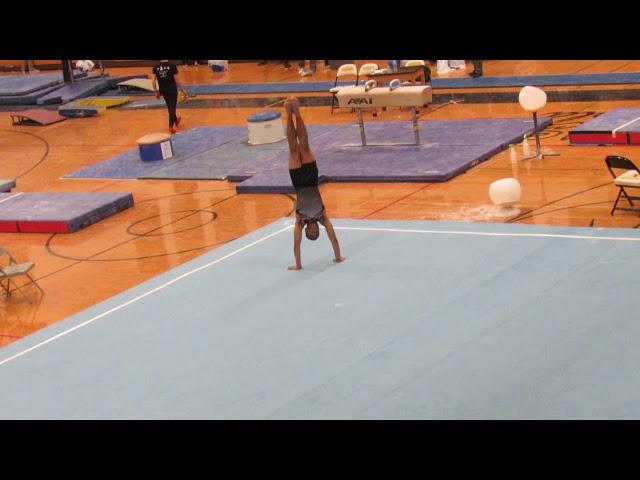 Adam Hein - Floor Exercise - 2018 Midwest Open