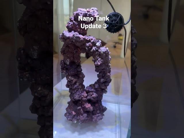 Nano Tank Update 3 - Wave Maker Flow Test