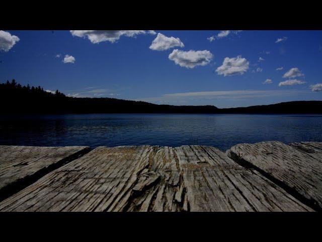 73-year-old man dies on Lake Lanier after boat seat comes loose, officials say