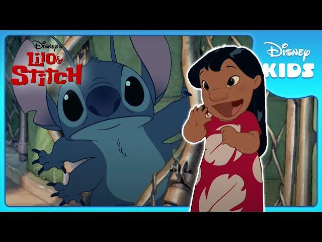  Lilo's Heartwarming Choice! | Lilo and Stitch | Disney Kids