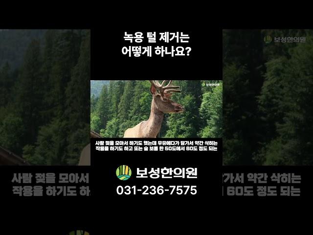 녹용 털 제거는 어떻게 하나요?