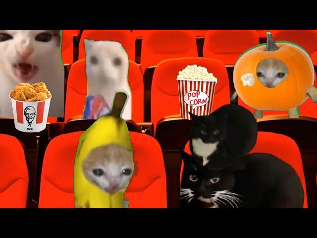 Baby Banana Cat  Videos ( 2 Minutes )