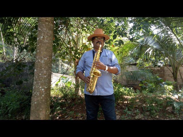 Bhalathinalumalla Parakramathinalumalla TPM Song Saxophone ( Instrumental )