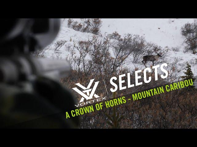 A Crown of Horns - Mountain Caribou ft. Greg McHale's Wild Yukon | Vortex Selects