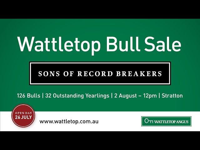 Wattletop 2017 Bull Sale Preview