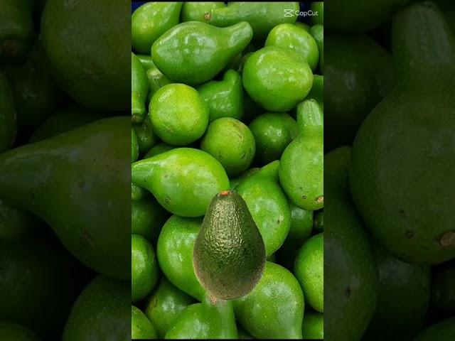 #avocadoboy#splitfruit #fruit #shorts