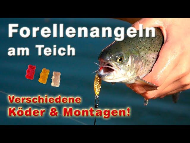 Forellenangeln am Teich | Angeln auf Forelle - verschiedene Köder und Montagen - Biss auf Biss!