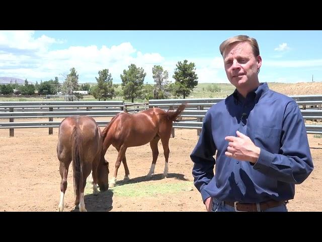 PART II - History of Rafter Eleven Ranch and Prescott Valley - "Dan" Fain, presented by Ron Fain.