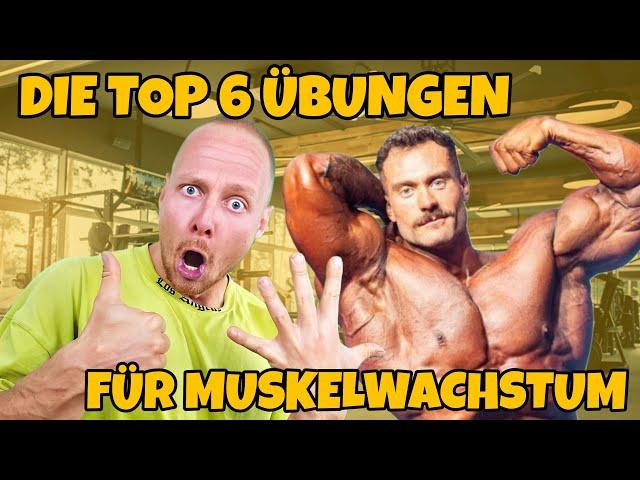 Wenn Ich Nur 6 Übungen Machen Dürfte – Mein Ultimatives Workout!